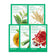 Energy Sheet Mask Variety 5 Pack