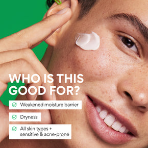 Green Tea Seed Hyaluronic Acid Cream – Face Moisturizer