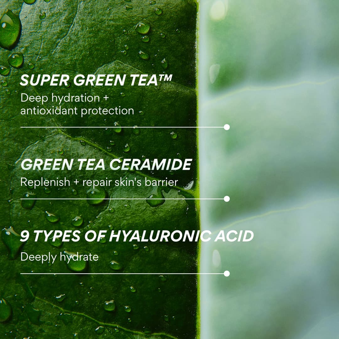 Green Tea Ceramide Milk Barrier Essence ingredient benefits