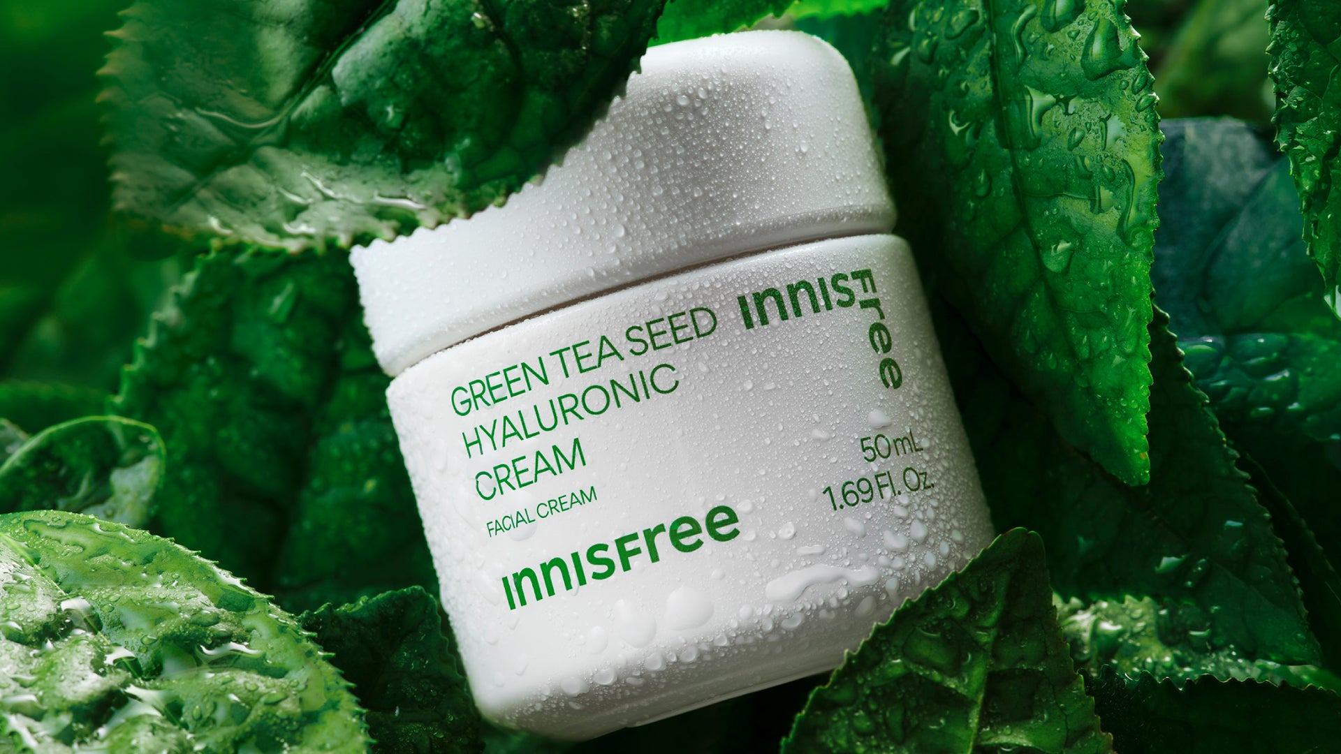 A white jar of Innisfree Green Tea Seed Hyaluronic Cream nestled among glossy green tea leaves with water droplets
