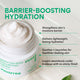 Enlarge image of Innisfree Green Tea Seed Hyaluronic Cream jar with white cream visible in a clear jar, shown on a light background with marketing text about barrier-boosting hydration.
