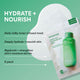 Enlarge image of Serum-Infused Sheet Mask 5 Pack - Green Tea Ceramide Milk, benefits
