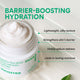 Enlarge image of barrier-boosting hydration - Green Tea Hyaluronic Cream benefits