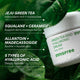 Enlarge image of Innisfree Green Tea Seed Hyaluronic Cream jar shown on a background of green leaves with text highlighting key ingredients.