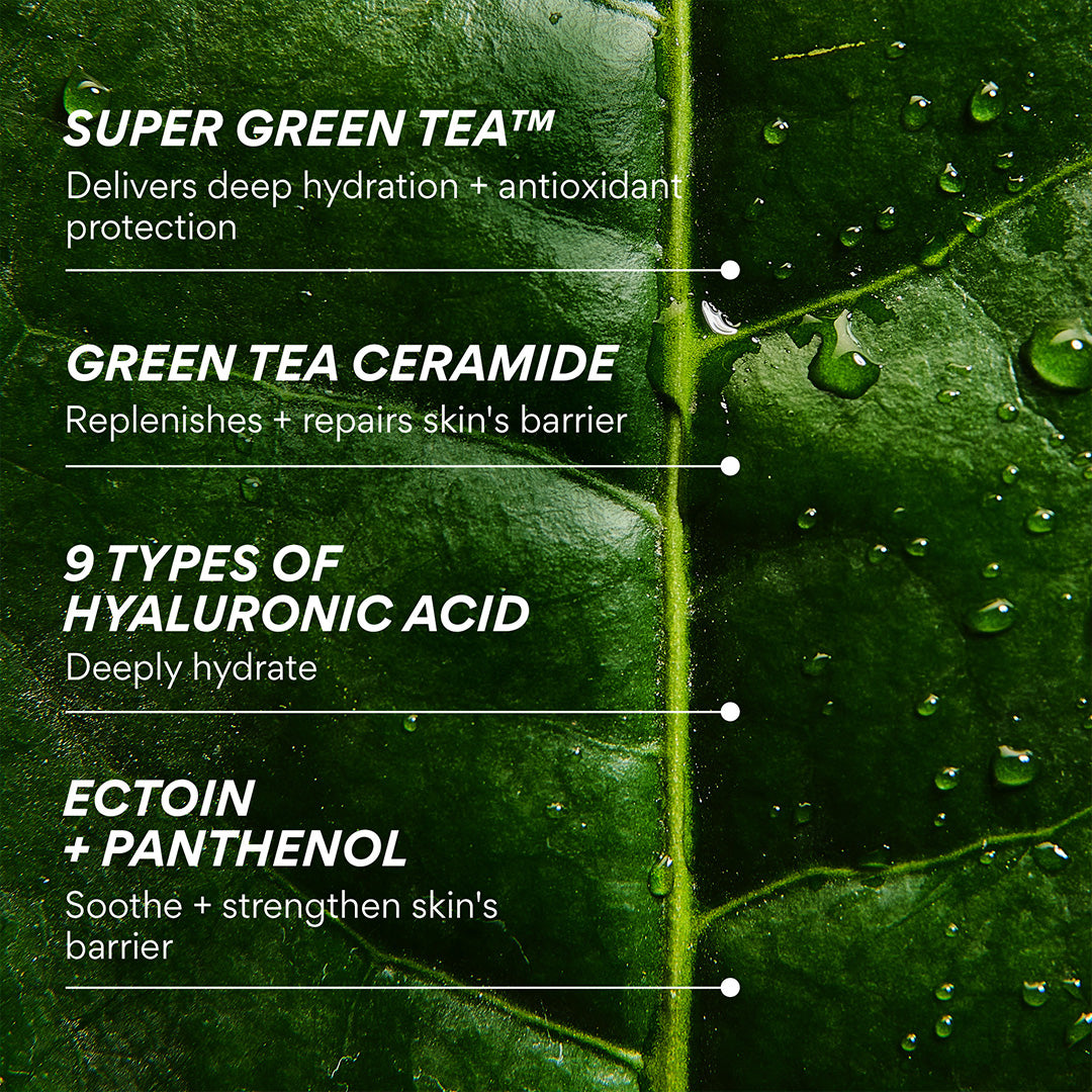 Green Tea Ceramide Mist ingredient list