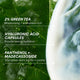 Enlarge image of Daily UV Invisible Barrier Sunscreen Serum Broad Spectrum SPF 47 with Green Tea ingredients
