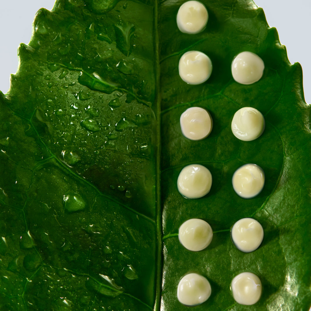 Green Tea Exosomes + Peptide Complex ingredient