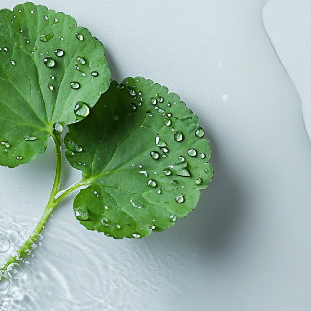 Panthenol and Madecassoside ingredient
