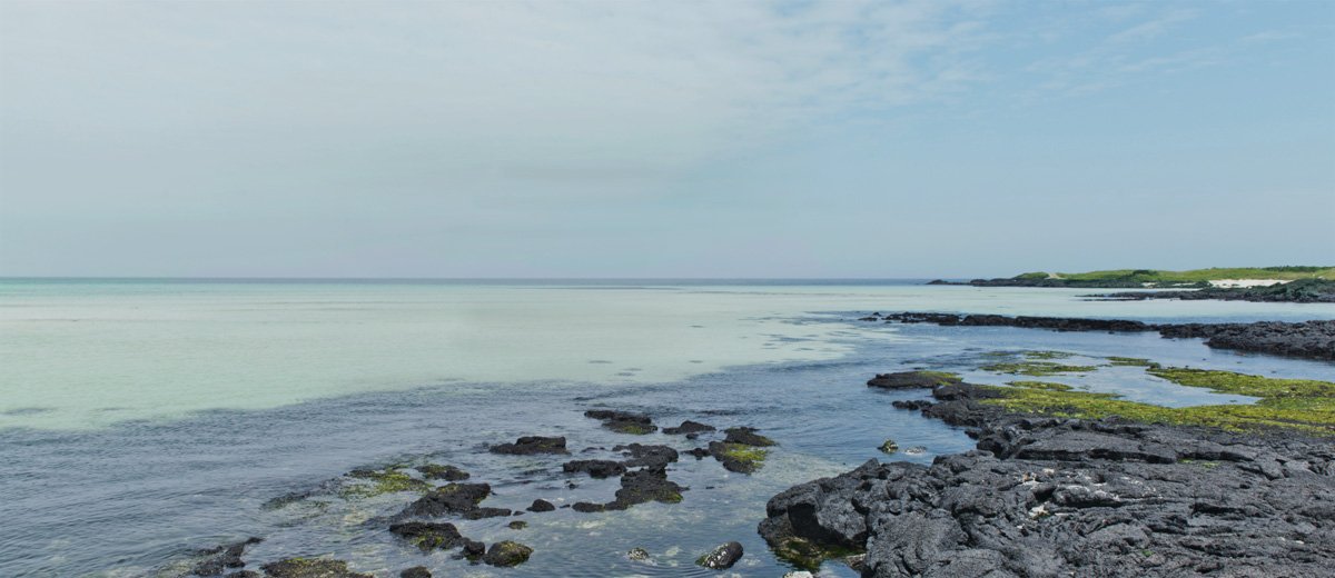 Water Landscape 